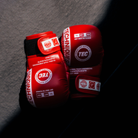 DST2 'Puffy' MMA Gloves