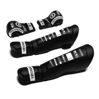 DST2 Striking Set (#1 Best Seller)