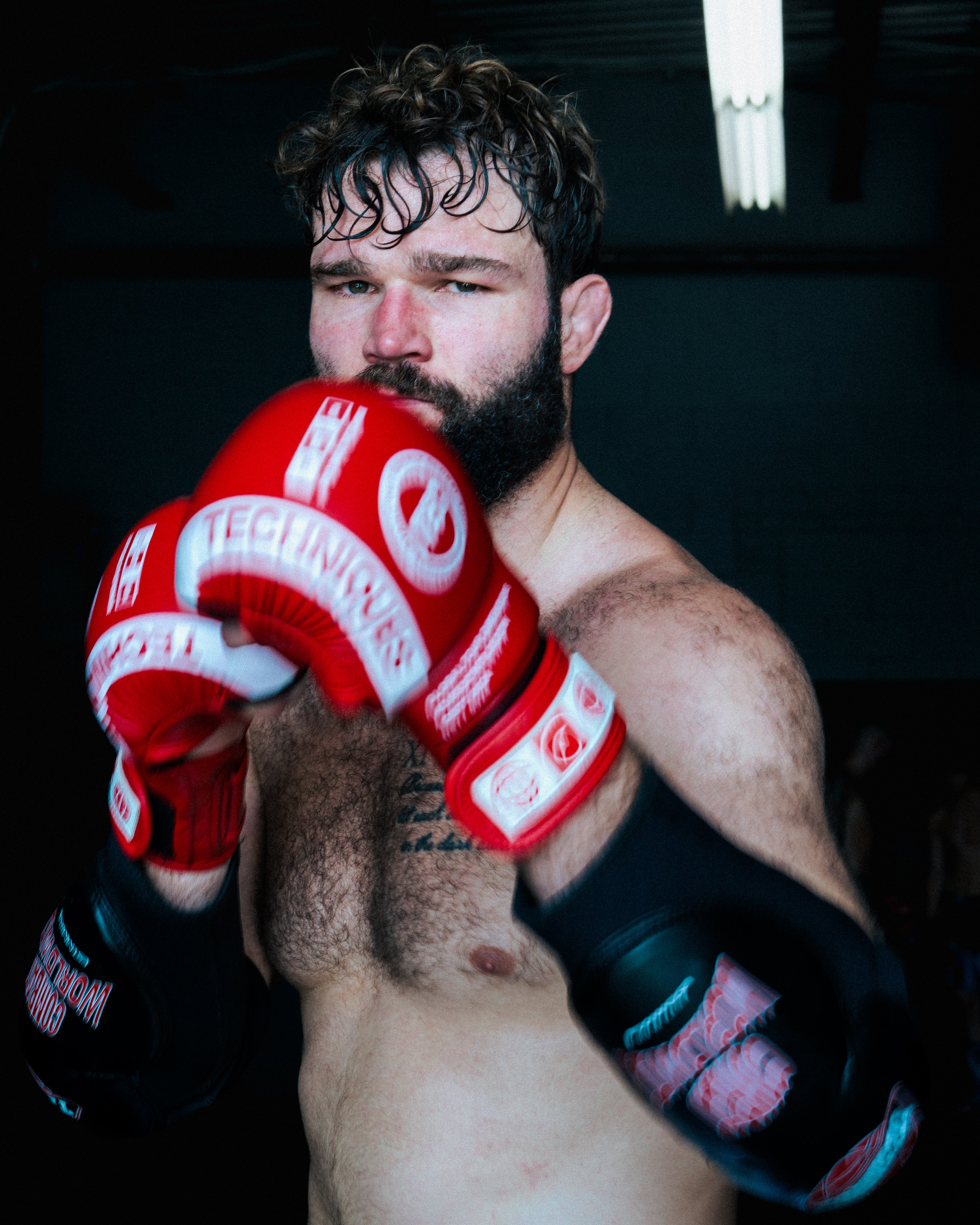 DST2 'Puffy' MMA Gloves