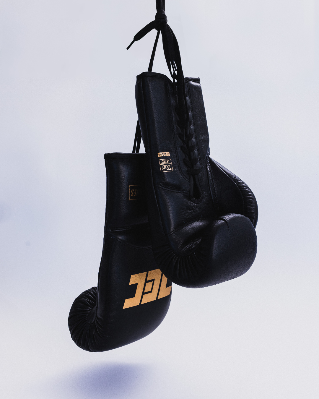 Professional TEC Lace-Up Boxing Gloves