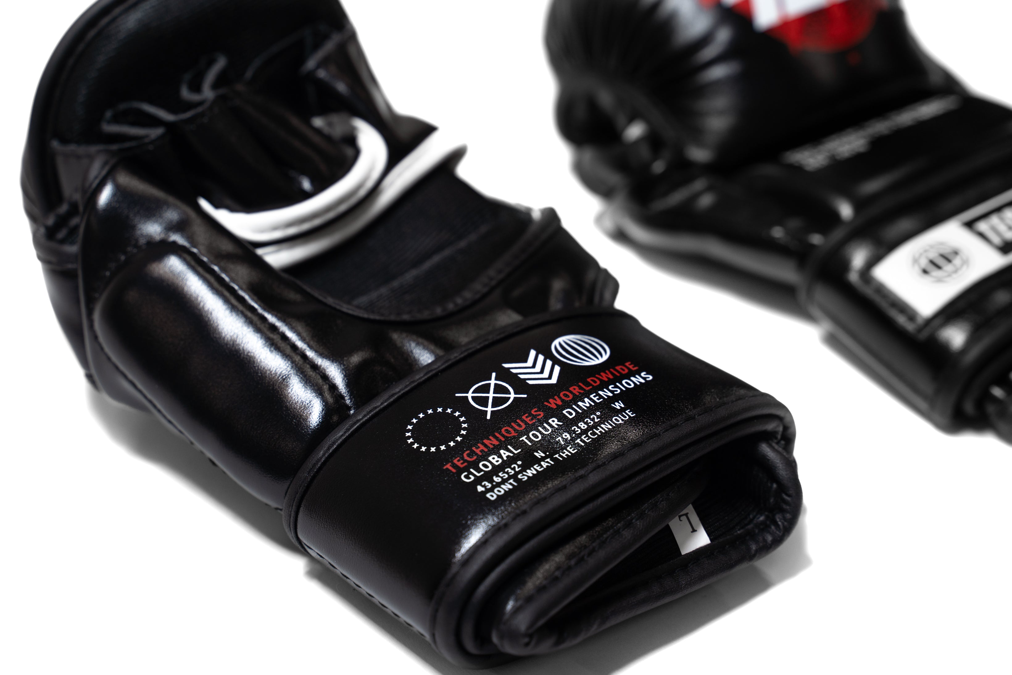 Worldwide 'Puffy' MMA Gloves - Techniques
