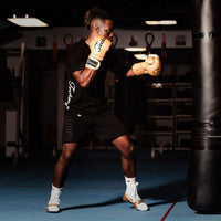 Akala Boxing Gloves - Techniques