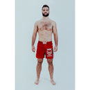 Rōnin MMA Shorts - Techniques
