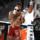 Rōnin MMA Shorts - Techniques