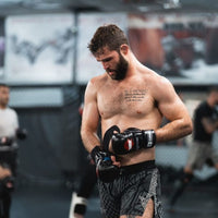 Worldwide 'Puffy' MMA Gloves - Techniques