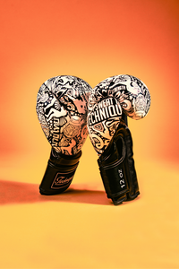 Musashi Boxing Gloves