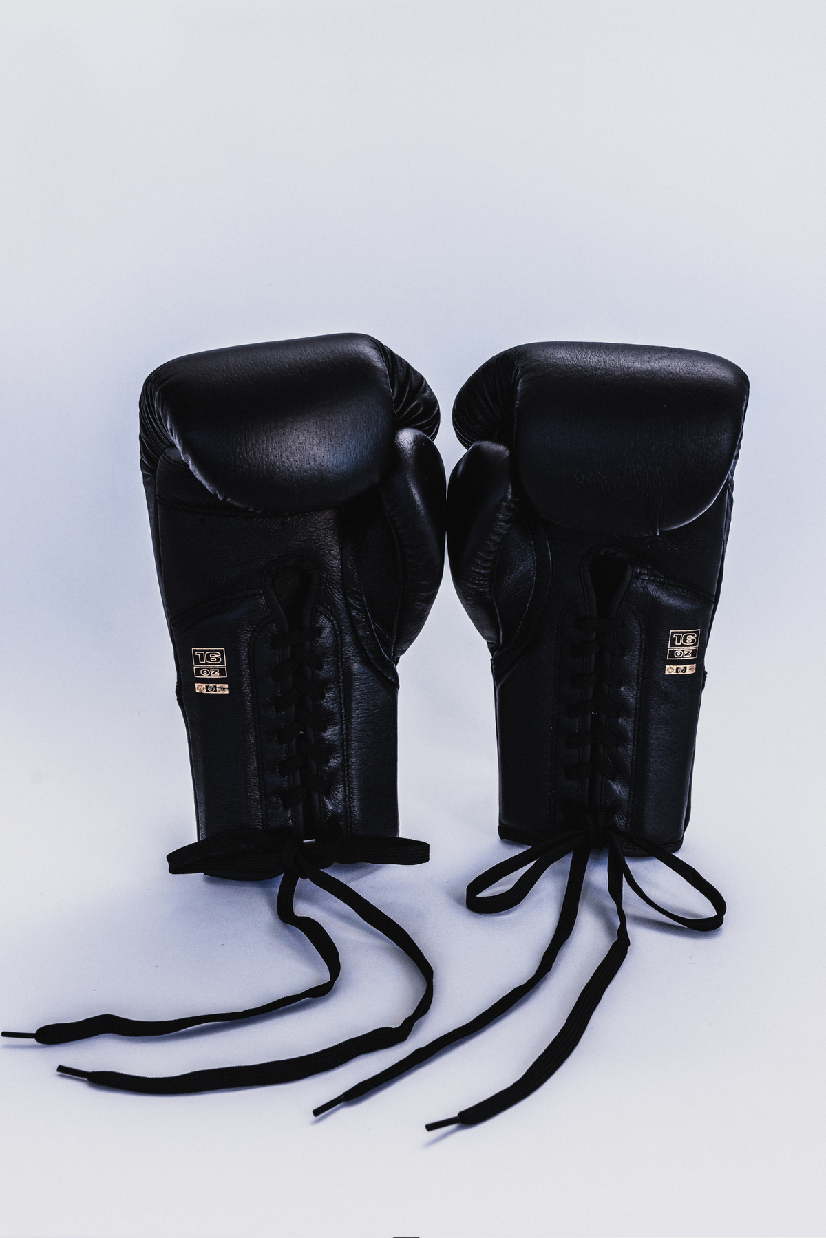 Professional TEC Lace-Up Boxing Gloves